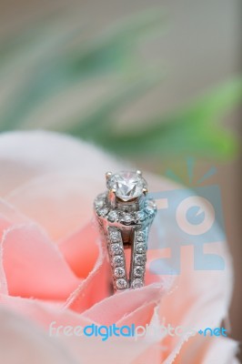 Wedding Ring - Stock Image Stock Photo