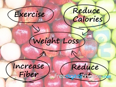 Weight Loss Diagram Stock Image