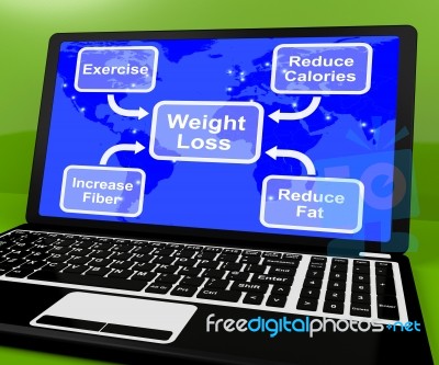 Weight Loss Diagram On Laptop Showing Exercise And Calories Stock Image