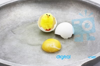 What Came First Stock Photo