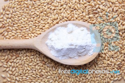 Wheat And Flour Stock Photo