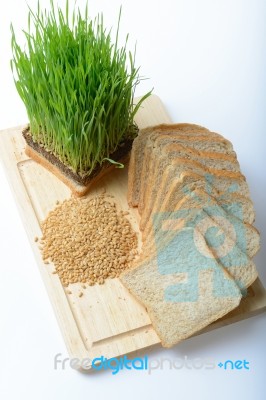 Wheat Grass,whole Wheat Bread And Wheat Grains Stock Photo