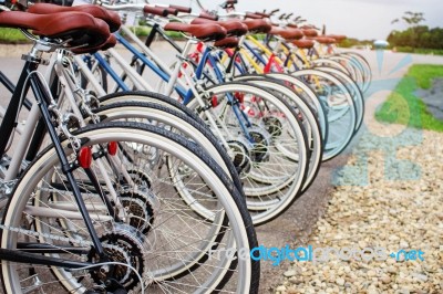 Wheel Of Bicycle In Park Stock Photo