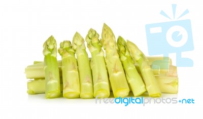 White Asparagus Isolated Stock Photo