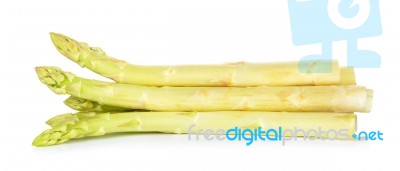 White Asparagus Isolated On The White Stock Photo