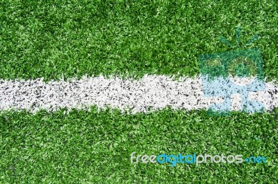 White Line On A Soccer Field Grass Stock Photo