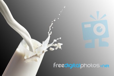 White Milk In Glass Stock Photo
