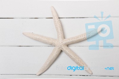 White Starfish Stock Photo