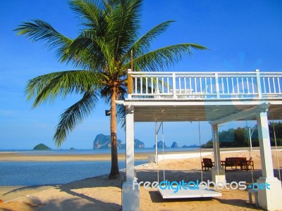 White Swing With Coconut Palms And The White Sand Beach Stock Photo