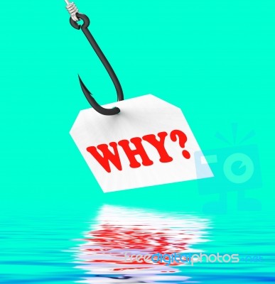 Why? On Hook Displays Uncertainty Or Confusion Stock Image