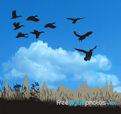 Wild Ducks And The Historic City Stock Image