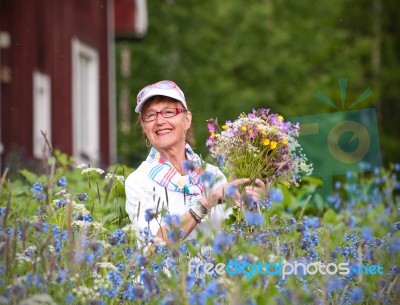 Elderly Smiling Woman In Her Garden With Flowers Stock Photo