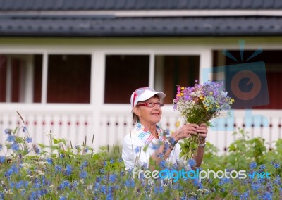 Elderly Smiling Woman Picking Flowers Stock Photo