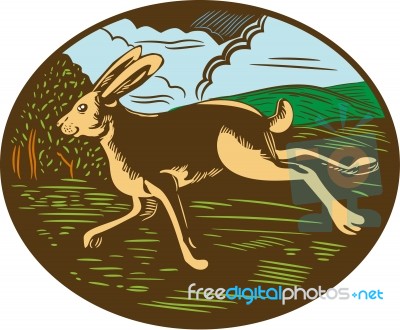 Wild Hare Rabbit Running Oval Woodcut Stock Image