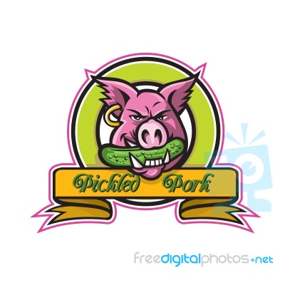Wild Hog Biting Pickle Circle Mascot Stock Image