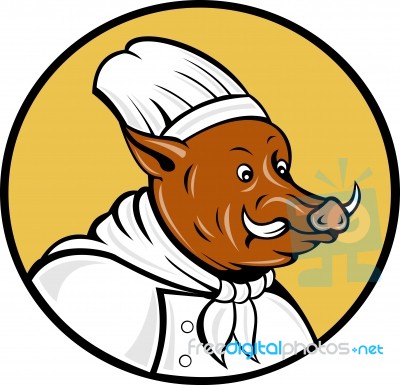 Wild Pig Boar Hog Chef Cook Baker Stock Image