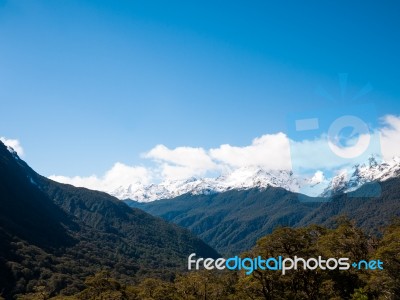 Wilderness With Mountains And Trees Stock Photo