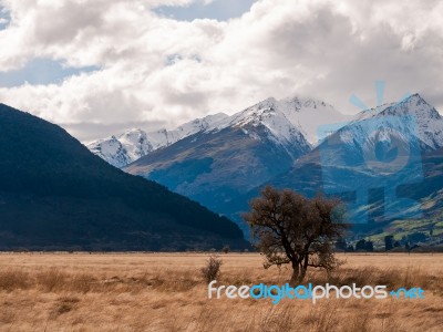 Wilderness With Mountains And Trees Stock Photo