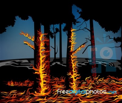 Wildfire Stock Image