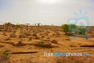 Wildlife Landscape Near Laisamis In Kenya Stock Photo