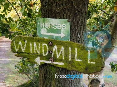 Windmill To The Left And Horses To The Right Stock Photo