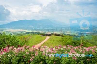 Windmills New Energy With Spring Flower On The Mountain Stock Photo