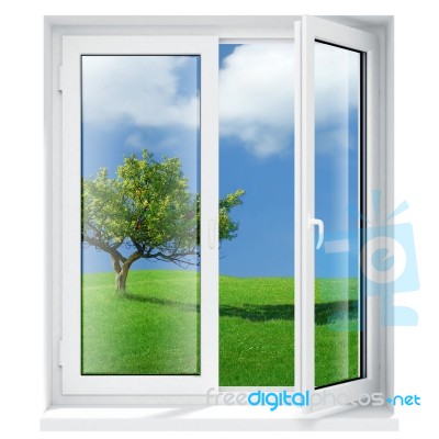 Windows Ecology Stock Image
