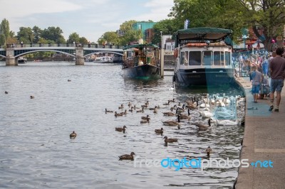 Windsor, Maidenhead & Windsor/uk - July 22 : Boats And Birds Alo… Stock Photo