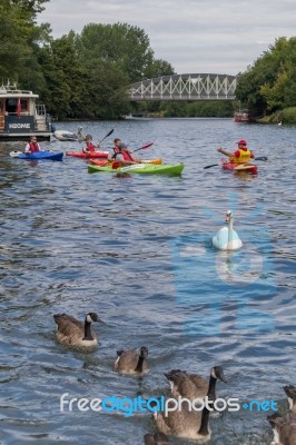 Windsor, Maidenhead & Windsor/uk - July 22 : People Kayaking Dow… Stock Photo