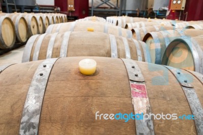 Wine Cellar Stock Photo Wine Cellar Stock Photo