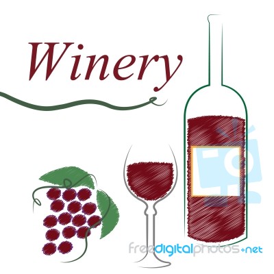 Winery Wine Shows Alcoholic Drink And Booze Stock Image