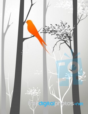 Winter Bird Stock Image