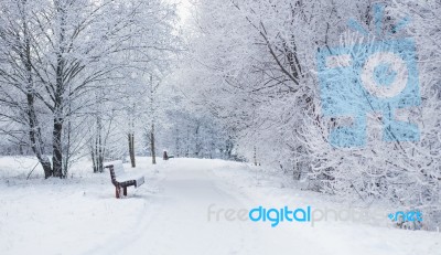 Winter Fairy Tale Stock Photo