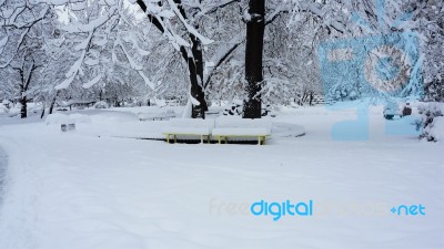 Winter In The Park. Sofia, Bulgaria Stock Photo Winter In The Park. Sofia, Bulgaria Stock Photo