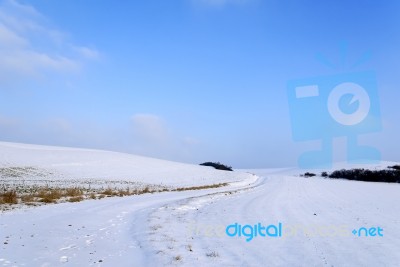 Winter Landscape Stock Photo