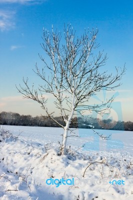 Winter Scene In East Grinstead Stock Photo