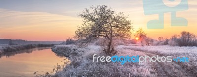 Winter Sunrise Stock Photo