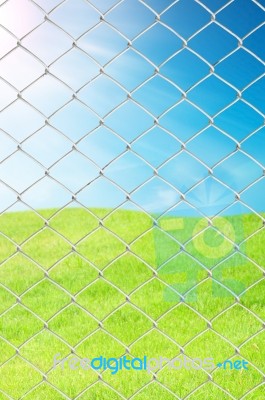 Wire Fence Stock Image