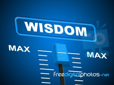 Wisdom Max Means Smartness Most And Wise Stock Image