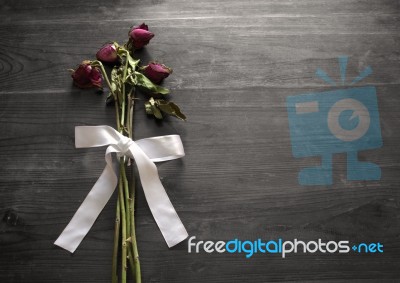 Withered Roses Stock Photo