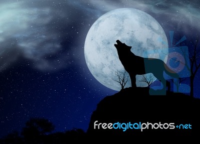 Wolf And Moon Stock Image