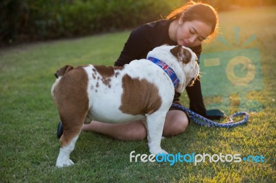 Woman And Bulldog On The Grass Stock Photo