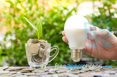 Woman Hand Is Holding Led Bulb With Growing Plant In The Glass -… Stock Photo