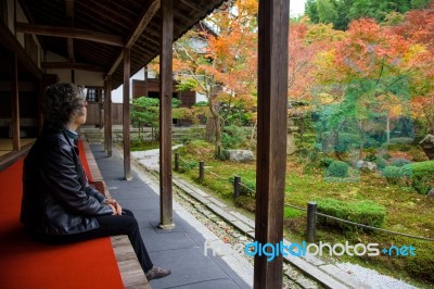 Woman In Enkoji Temple Enjoys Autumn Colorful Japanese Garden Stock Photo