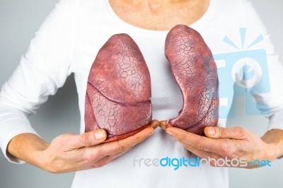 Woman Showing Two Lungs In Front Of Chest Stock Photo