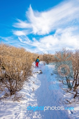 Woman Walking On Trail With Snow In Mountains Stock Photo