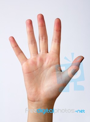 Woman's Hand Stock Photo