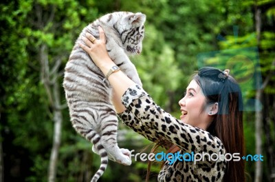 Women Hold Baby White Bengal Tiger Stock Photo Women Hold Baby White Bengal Tiger Stock Photo