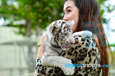 Women Hold Baby White Bengal Tiger Stock Photo Women Hold Baby White Bengal Tiger Stock Photo