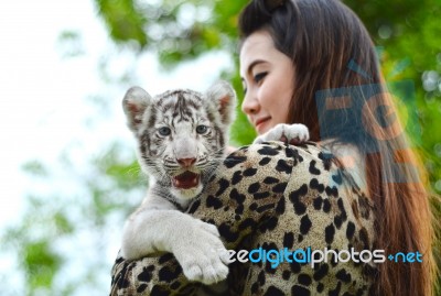 Women Hold Baby White Bengal Tiger Stock Photo Women Hold Baby White Bengal Tiger Stock Photo